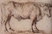 Peter Paul Rubens Bull Spain oil painting artist